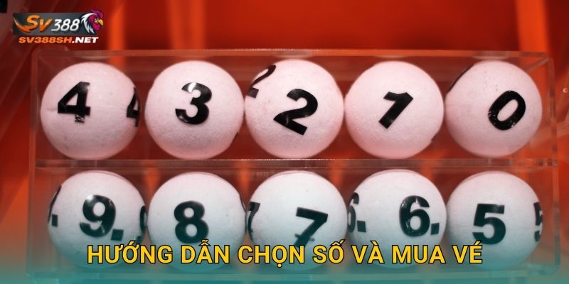 Hướng dẫn chọn số và mua vé