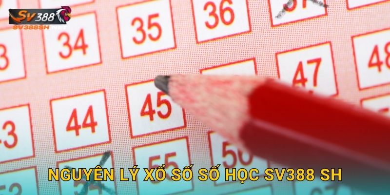 Nguyên lý xổ số số học sv388 sh